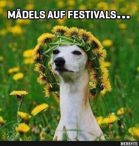  Mädels auf Festivals.. - Lustige Bilder | DEBESTE.de