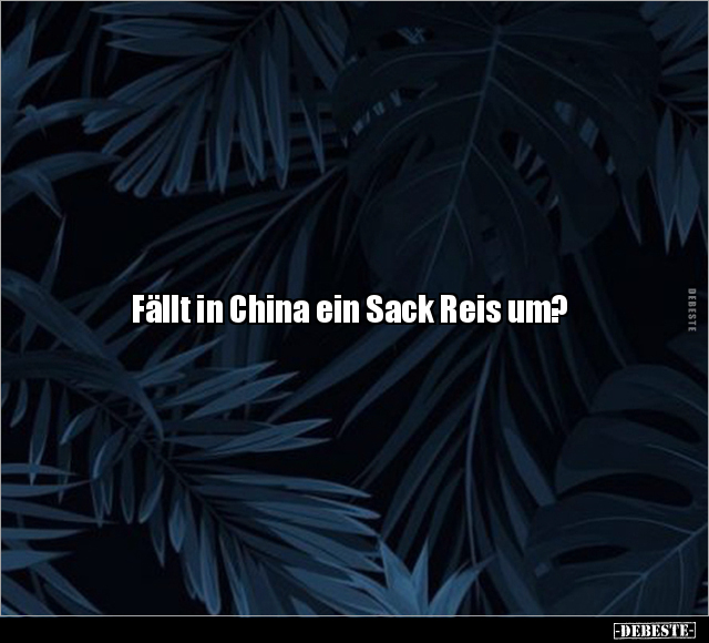 Fällt in China ein Sack Reis um?.. - Lustige Bilder | DEBESTE.de