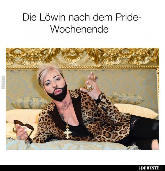 Die Löwin nach dem Pridewochenende.. - Lustige Bilder | DEBESTE.de