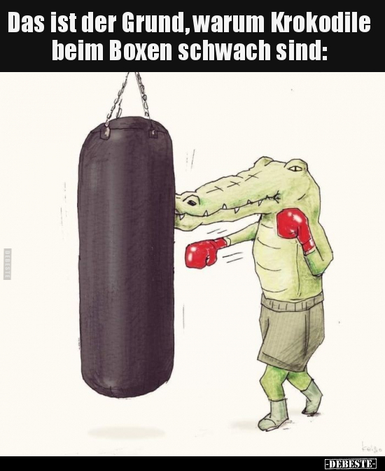 Das ist der Grund, warum Krokodile beim Boxen schwach.. - Lustige Bilder | DEBESTE.de