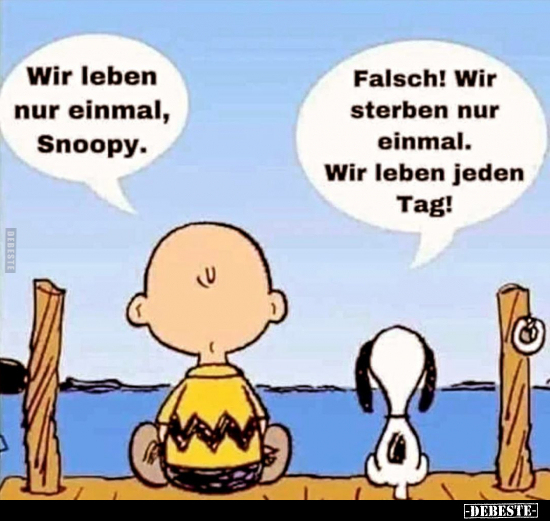 Wir leben nur einmal, Snoopy.. - Lustige Bilder | DEBESTE.de