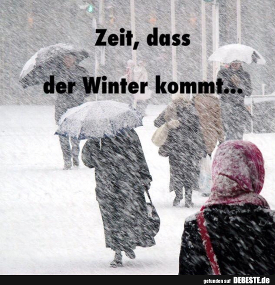 Zeit, dass der Winter kommt... - Lustige Bilder | DEBESTE.de