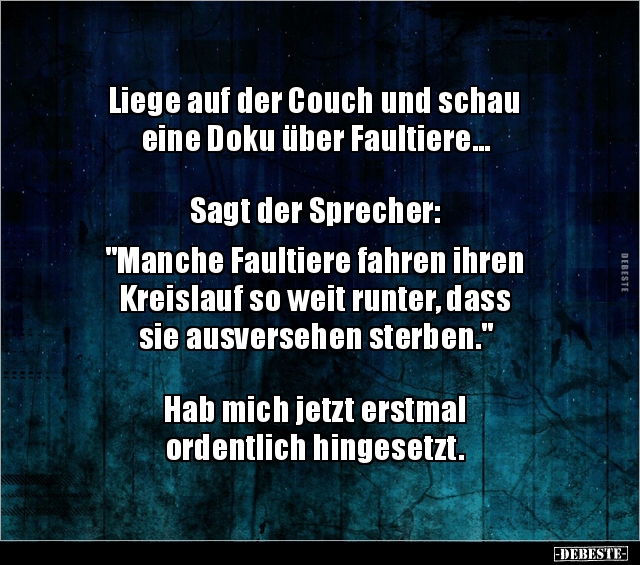 Liege auf der Couch und schau eine Doku über Faultiere... - Lustige Bilder | DEBESTE.de