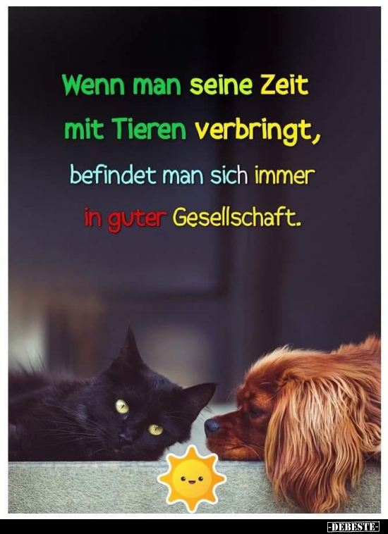 Wenn man seine Zeit mit Tieren verbringt, befindet man sich.. - Lustige Bilder | DEBESTE.de