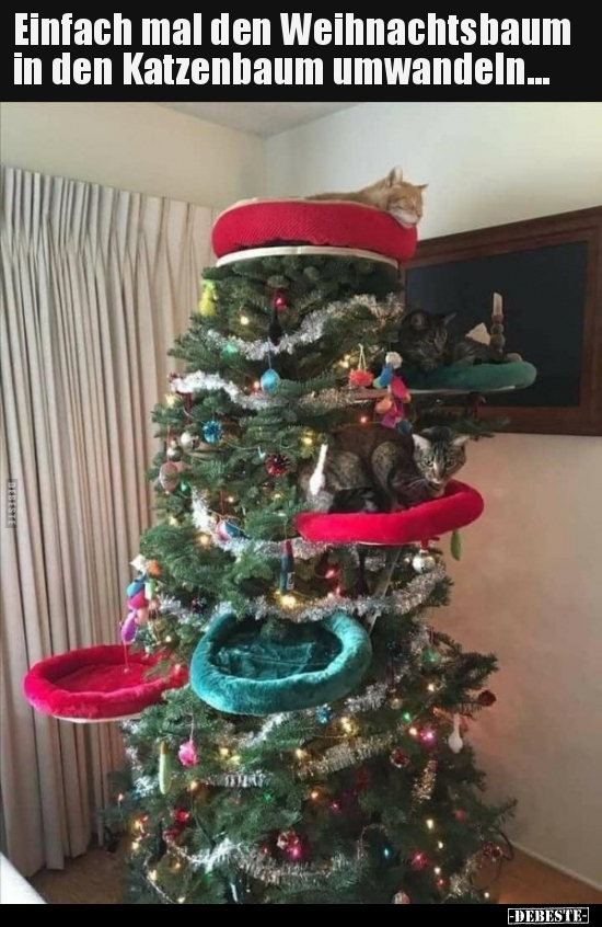 Einfach mal den Weihnachtsbaum in den Katzenbaum.. - Lustige Bilder | DEBESTE.de