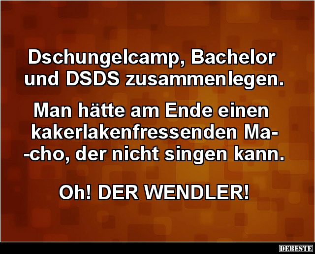 Dschungelcamp, Bachelor und DSDS zusammenlegen.. - Lustige Bilder | DEBESTE.de