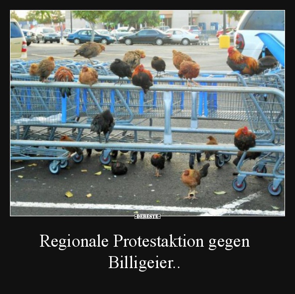 Regionale Protestaktion gegen  Billigeier.. - Lustige Bilder | DEBESTE.de