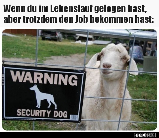 Wenn du im Lebenslauf gelogen hast, aber trotzdem den Job.. - Lustige Bilder | DEBESTE.de