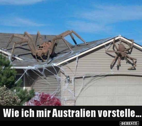 Wie ich mir Australien vorstelle.. - Lustige Bilder | DEBESTE.de