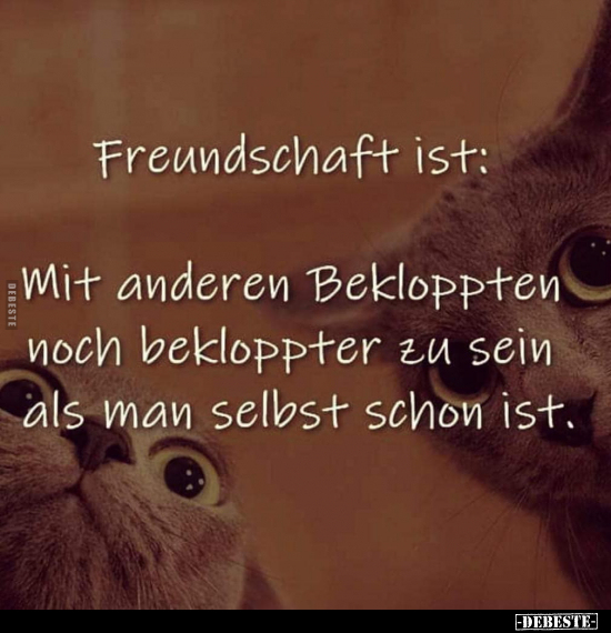 Freundschaft ist: - Mit anderen Bekloppten.. - Lustige Bilder | DEBESTE.de