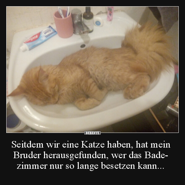 Seitdem wir eine Katze haben, hat mein Bruder.. - Lustige Bilder | DEBESTE.de