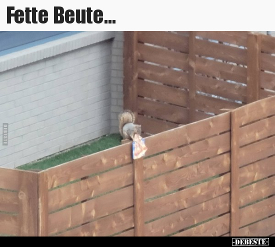Fette Beute... - Lustige Bilder | DEBESTE.de