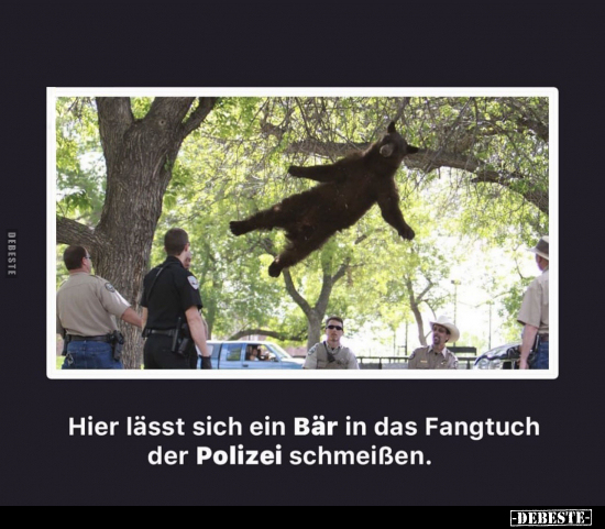Hier lässt sich ein Bär in das Fangtuch der Polizei schmeißen.. - Lustige Bilder | DEBESTE.de