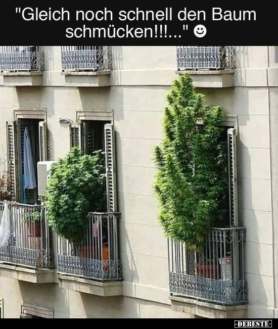 "Gleich noch schnell den Baum schmücken!!!..." - Lustige Bilder | DEBESTE.de