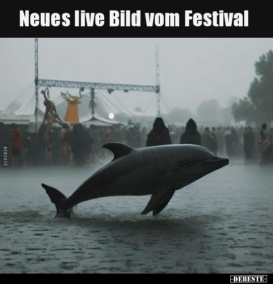 Neues live Bild vom Festival.. - Lustige Bilder | DEBESTE.de