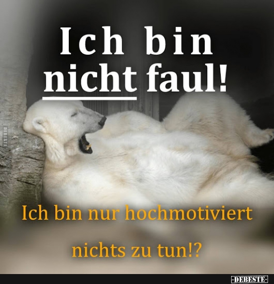 Ich bin nicht faul! - Lustige Bilder | DEBESTE.de