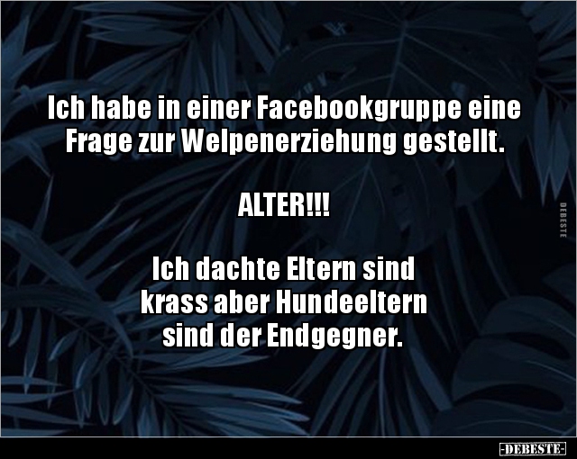 Ich habe in einer Facebookgruppe eine Frage zur.. - Lustige Bilder | DEBESTE.de