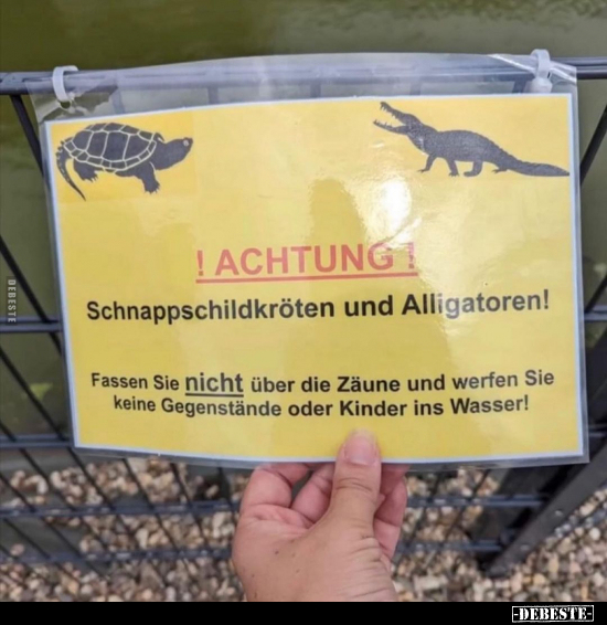 Schnappschildkröten und Alligatoren!.. - Lustige Bilder | DEBESTE.de