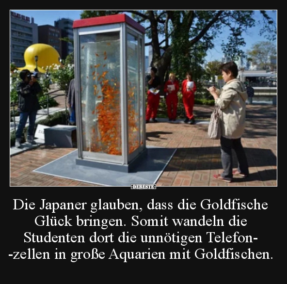 Die Japaner glauben, dass die Goldfische Glück bringen... - Lustige Bilder | DEBESTE.de