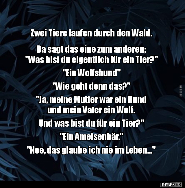 Zwei Tiere laufen durch den Wald. Da sagt das eine zum.. - Lustige Bilder | DEBESTE.de