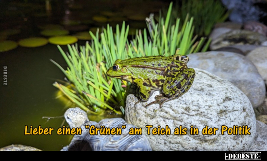 Lieber einen "Grünen" am Teich als in der Politik.. - Lustige Bilder | DEBESTE.de