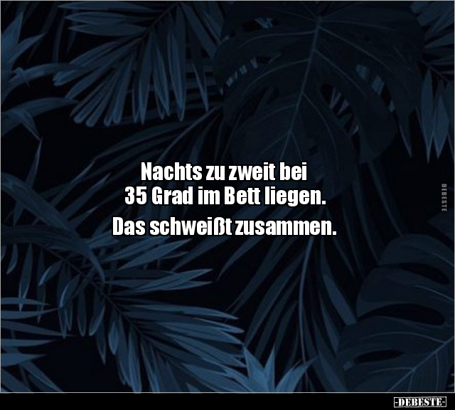 Nachts zu zweit bei 35 Grad im Bett liegen. Das schweißt.. - Lustige Bilder | DEBESTE.de