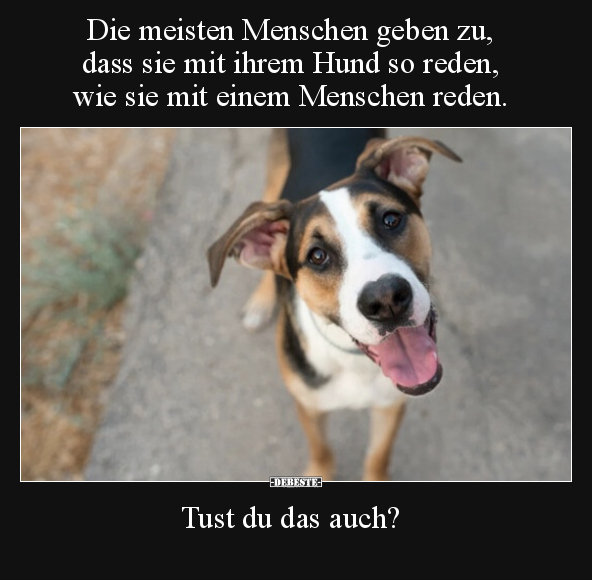 Die meisten Menschen geben zu, dass sie mit ihrem Hund so.. - Lustige Bilder | DEBESTE.de