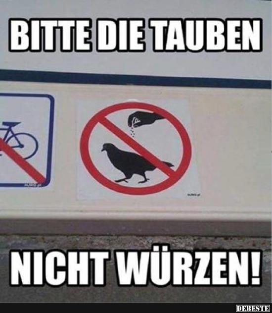 Bitte die Tauben nicht würzen! - Lustige Bilder | DEBESTE.de