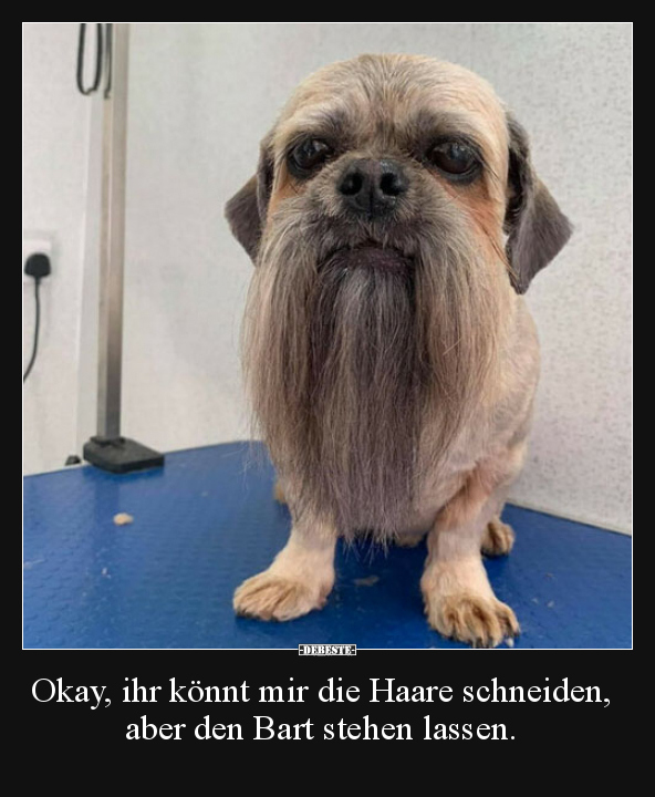 Okay, ihr könnt mir die Haare schneiden, aber den Bart.. - Lustige Bilder | DEBESTE.de