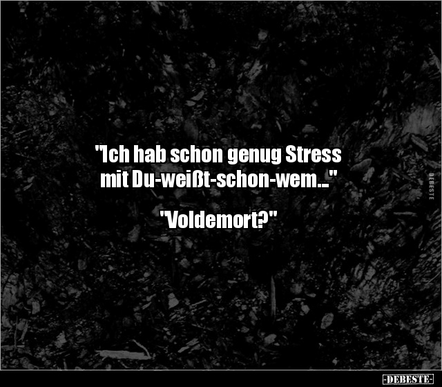 "Ich hab schon genug Stress  mit Du-weißt-schon-wem..." - Lustige Bilder | DEBESTE.de