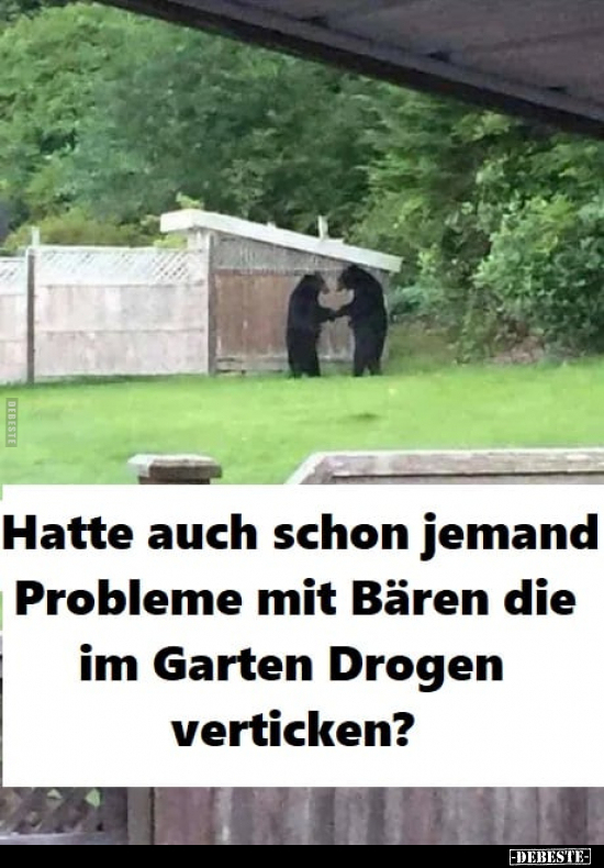 Hatte auch schon jemand Probleme mit Bären die im Garten.. - Lustige Bilder | DEBESTE.de