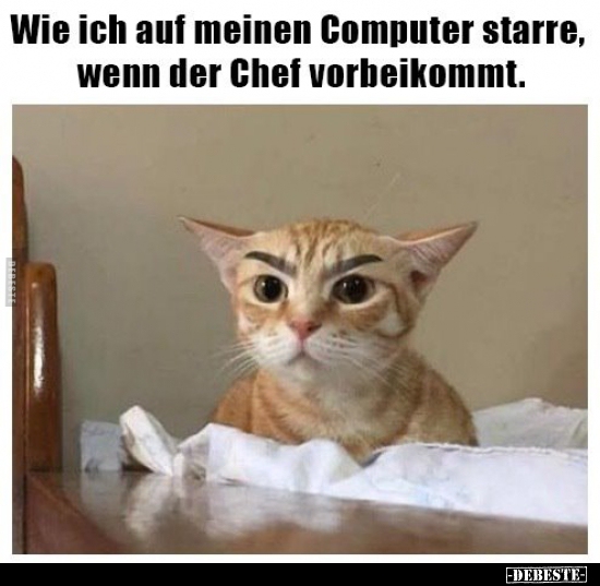 Wie ich auf meinen Computer starre, wenn der Chef.. - Lustige Bilder | DEBESTE.de