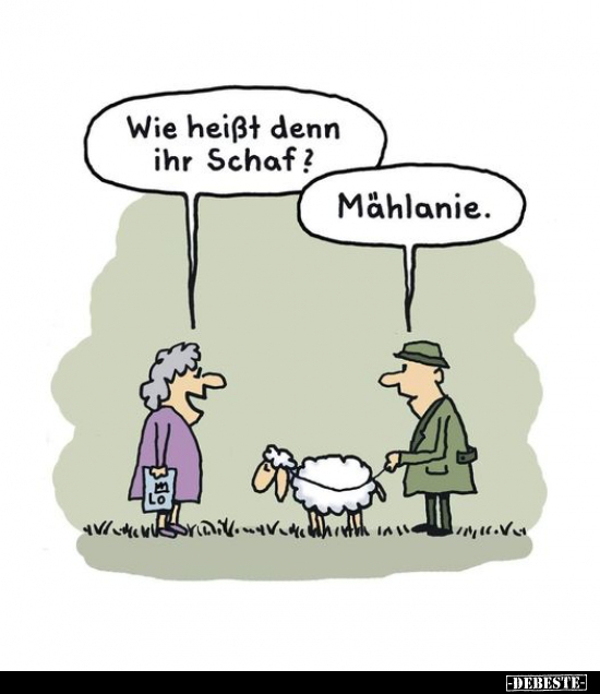 Wie heißt denn ihr Schaf?.. - Lustige Bilder | DEBESTE.de