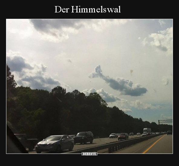 Der Himmelswal.. - Lustige Bilder | DEBESTE.de