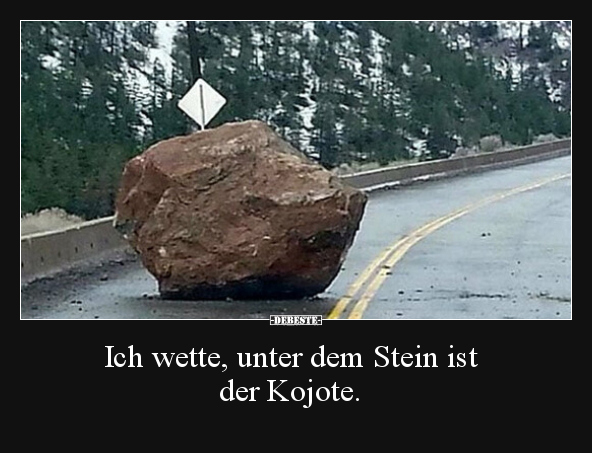 Ich wette, unter dem Stein ist der Kojote... - Lustige Bilder | DEBESTE.de
