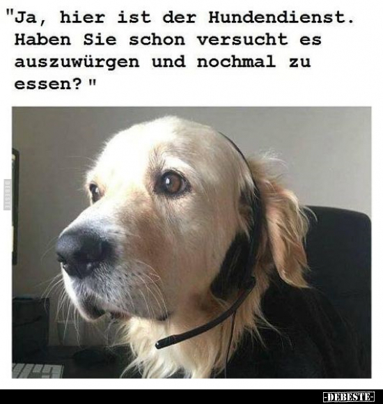 "Ja, hier ist der Hundendienst, Haben Sie schon versucht es.." - Lustige Bilder | DEBESTE.de