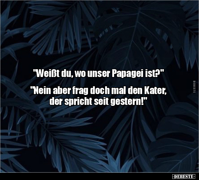 "Weißt du, wo unser Papagei ist?".. - Lustige Bilder | DEBESTE.de