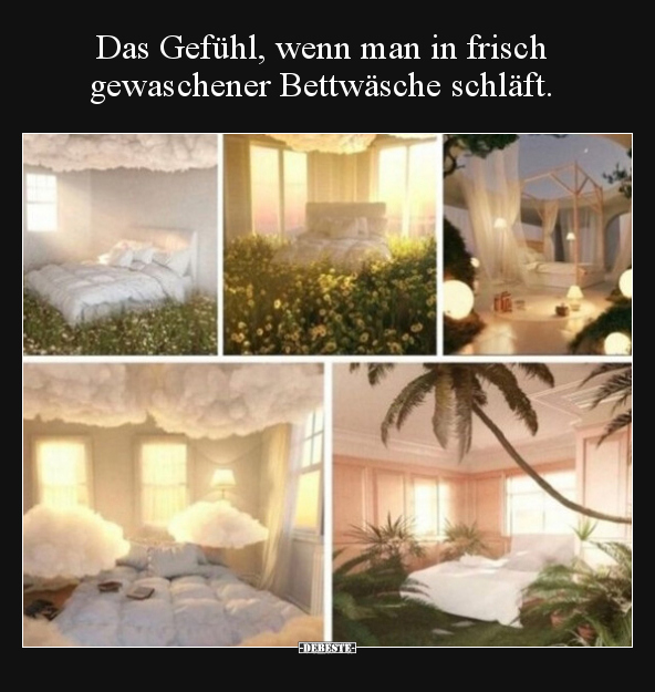 Das Gefühl, wenn man in frisch gewaschener Bettwäsche.. - Lustige Bilder | DEBESTE.de