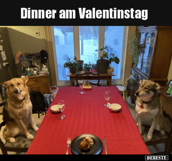 Dinner am Valentinstag.. - Lustige Bilder | DEBESTE.de