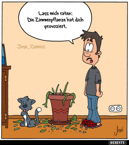 Lass mich raten: Die Zimmerpflanze hat dich provoziert... - Lustige Bilder | DEBESTE.de