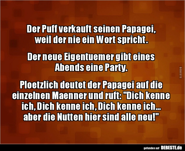 Der Puff verkauft seinen Papagei, weil der nie ein Wort.. - Lustige Bilder | DEBESTE.de