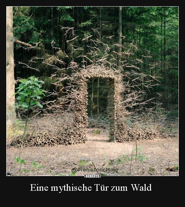 Eine mythische Tür zum Wald.. - Lustige Bilder | DEBESTE.de