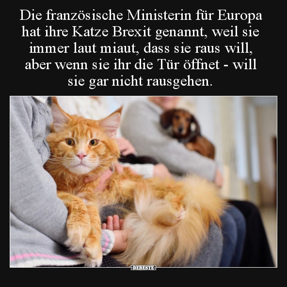 Die französische Ministerin für Europa hat ihre Katze.. - Lustige Bilder | DEBESTE.de