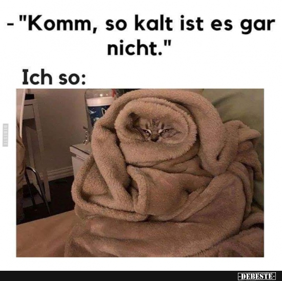 "Komm‚ so kalt ist es gar nicht."... - Lustige Bilder | DEBESTE.de