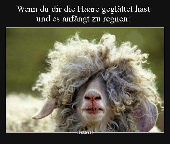 Wenn du dir die Haare geglättet hast und es anfängt zu.. - Lustige Bilder | DEBESTE.de