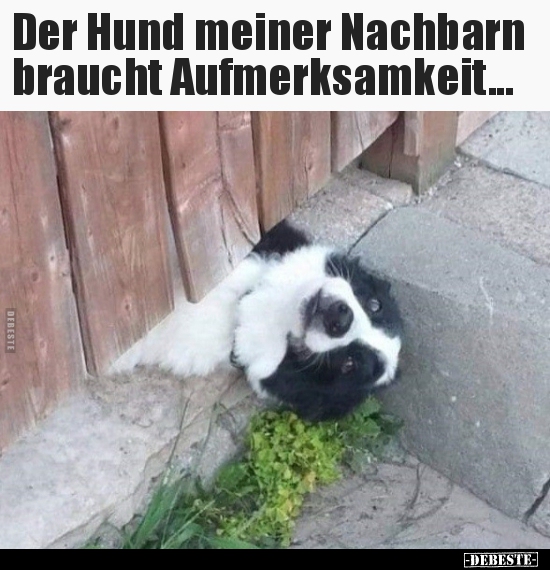 Der Hund meiner Nachbarn braucht Aufmerksamkeit... - Lustige Bilder | DEBESTE.de