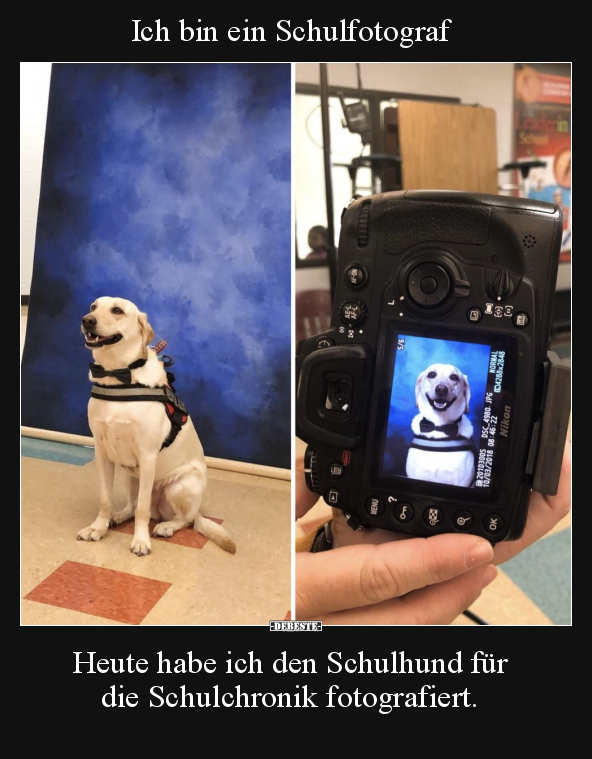 Ich bin ein Schulfotograf. Heute habe ich den Schulhund für.. - Lustige Bilder | DEBESTE.de