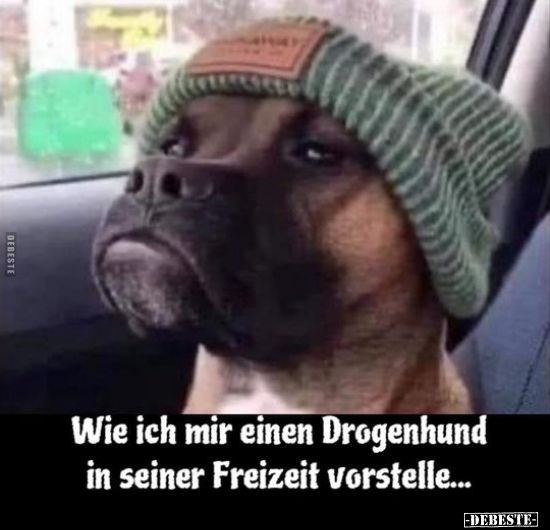 Wie ich mir einen Drogenhund in seiner Freizeit.. - Lustige Bilder | DEBESTE.de