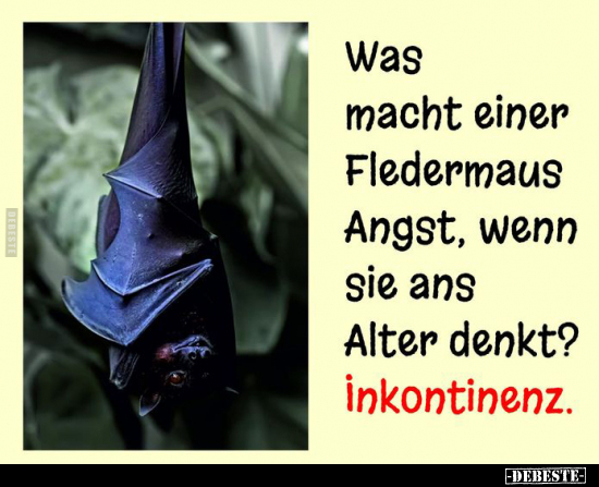 Was macht einer Fledermaus Angst, wenn sie ans Alter.. - Lustige Bilder | DEBESTE.de