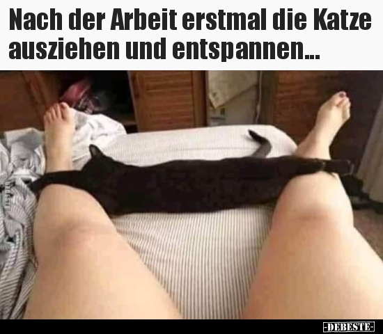 Nach der Arbeit erstmal die Katze ausziehen und.. - Lustige Bilder | DEBESTE.de
